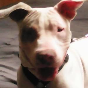 Meet your Posher, Lynn pritchett